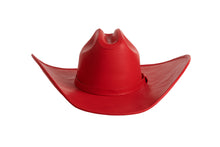 Load image into Gallery viewer, The Hive (Limited Edition) Red, Silver, Denim